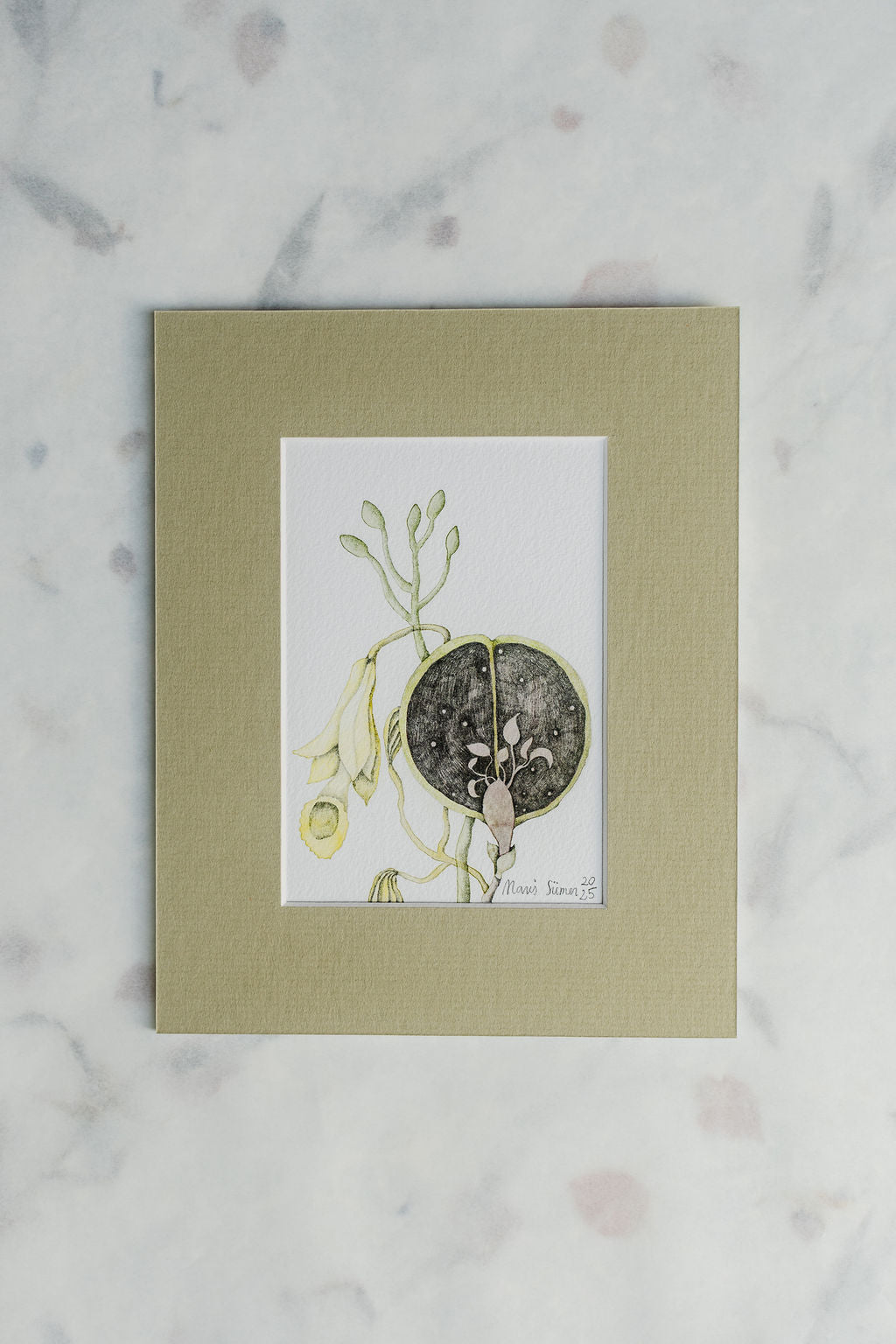 Giclée print "Seed Chamber"