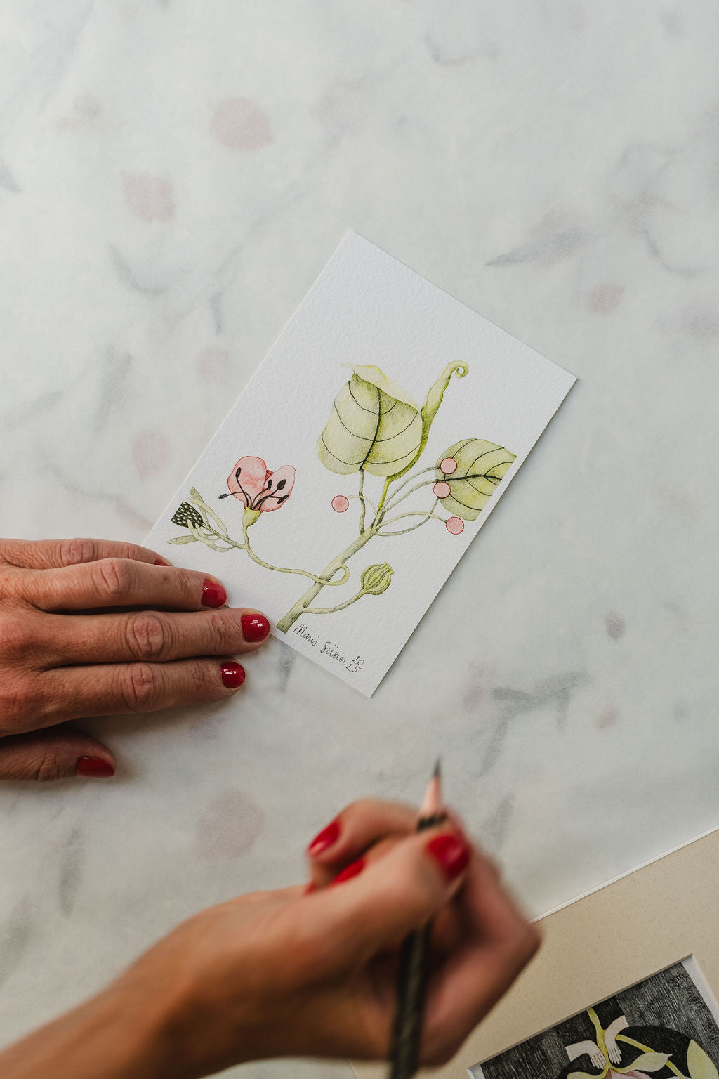 Giclée print “Quiet Bloom”