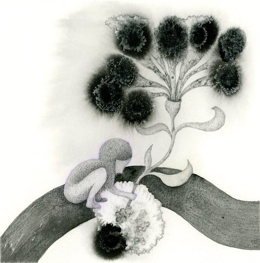 Giclée print "Secret Garden"