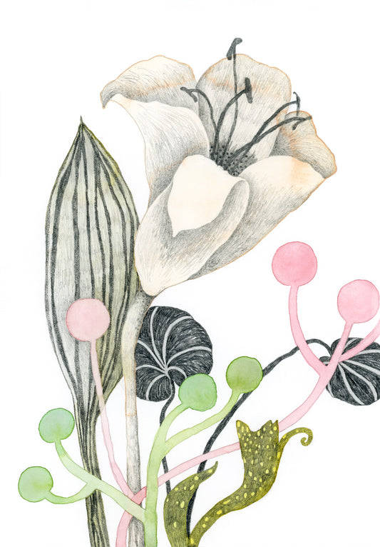 Giclée print “She Planted Lilies in the Garden”