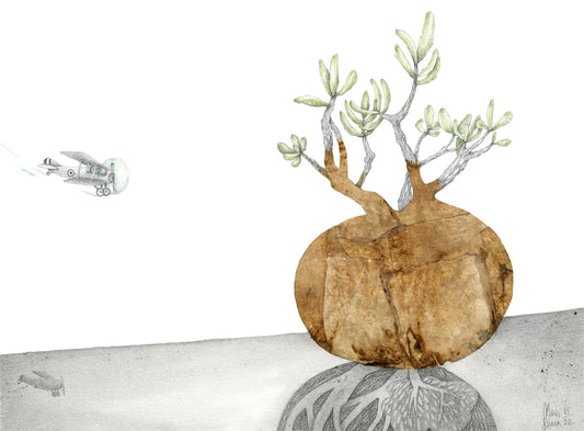 Giclée print “The Planet of Baobab Trees”