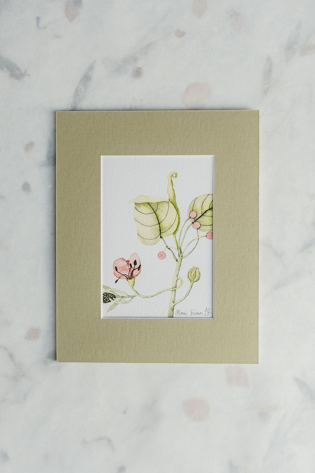 Giclée print “Quiet Bloom”